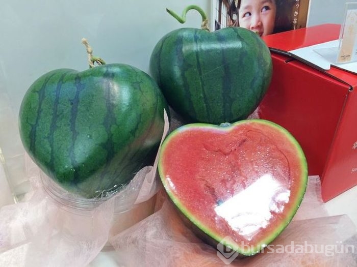 Sadece Japonya`da
