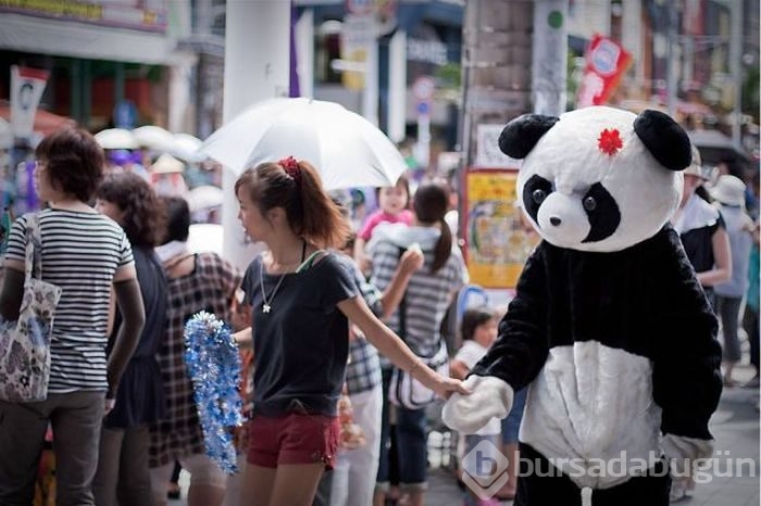 Sadece Japonya`da