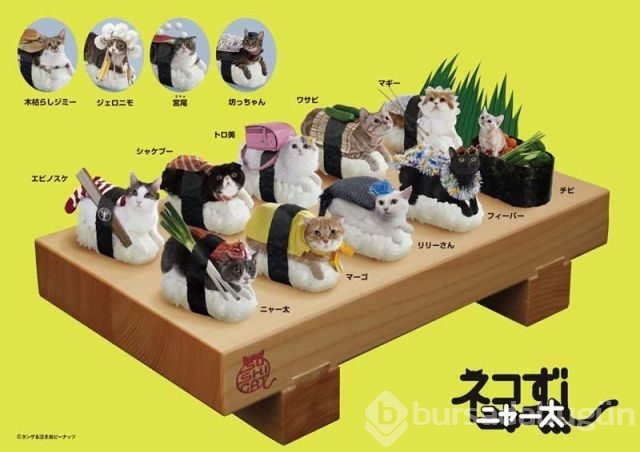 Sadece Japonya`da