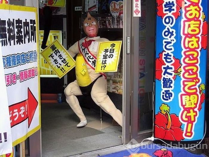 Sadece Japonya`da