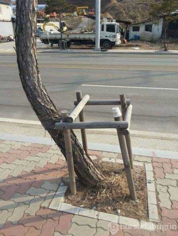 Günün en çok paylaşılan fotoğrafları