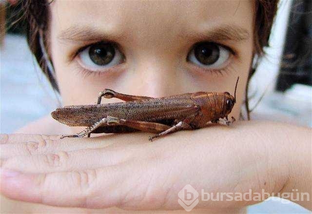 Günün en çok paylaşılan fotoğrafları