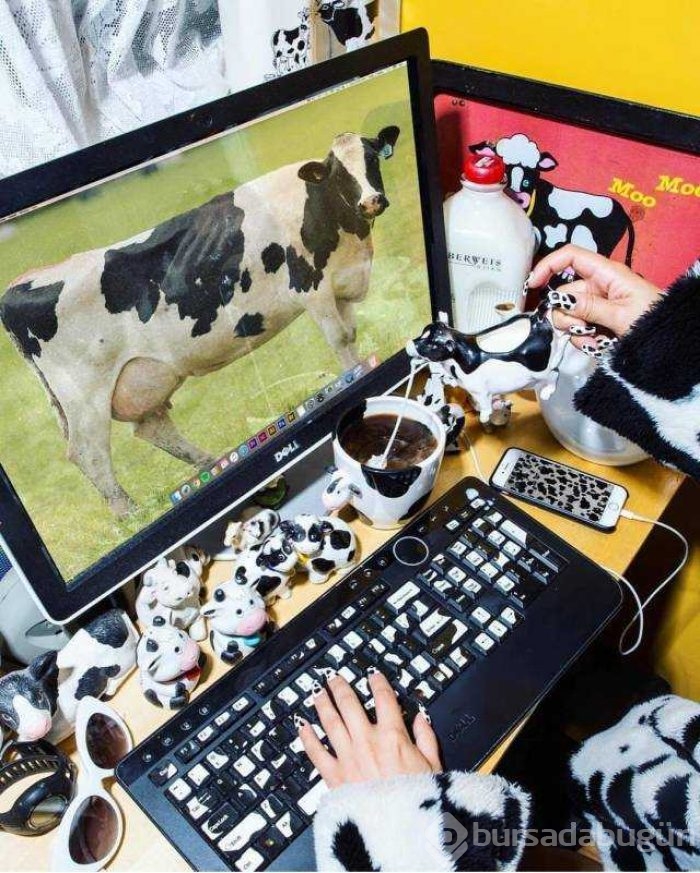 Günün en çok paylaşılan fotoğrafları