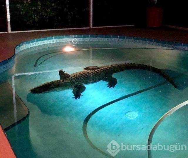 Günün en çok paylaşılan fotoğrafları