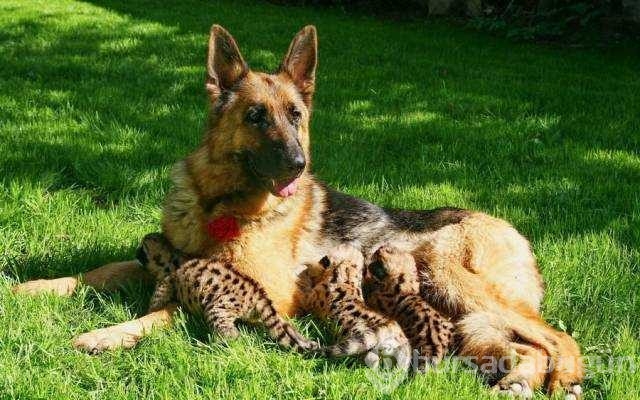 Günün en çok paylaşılan fotoğrafları