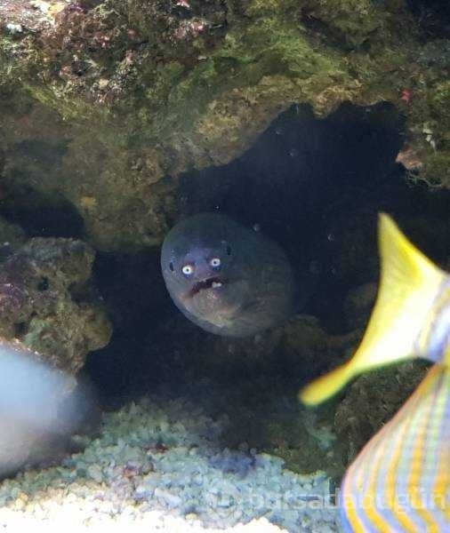 Günün en çok paylaşılan fotoğrafları