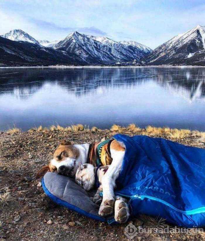 Günün en çok paylaşılan fotoğrafları