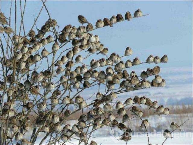 Günün en çok paylaşılan fotoğrafları