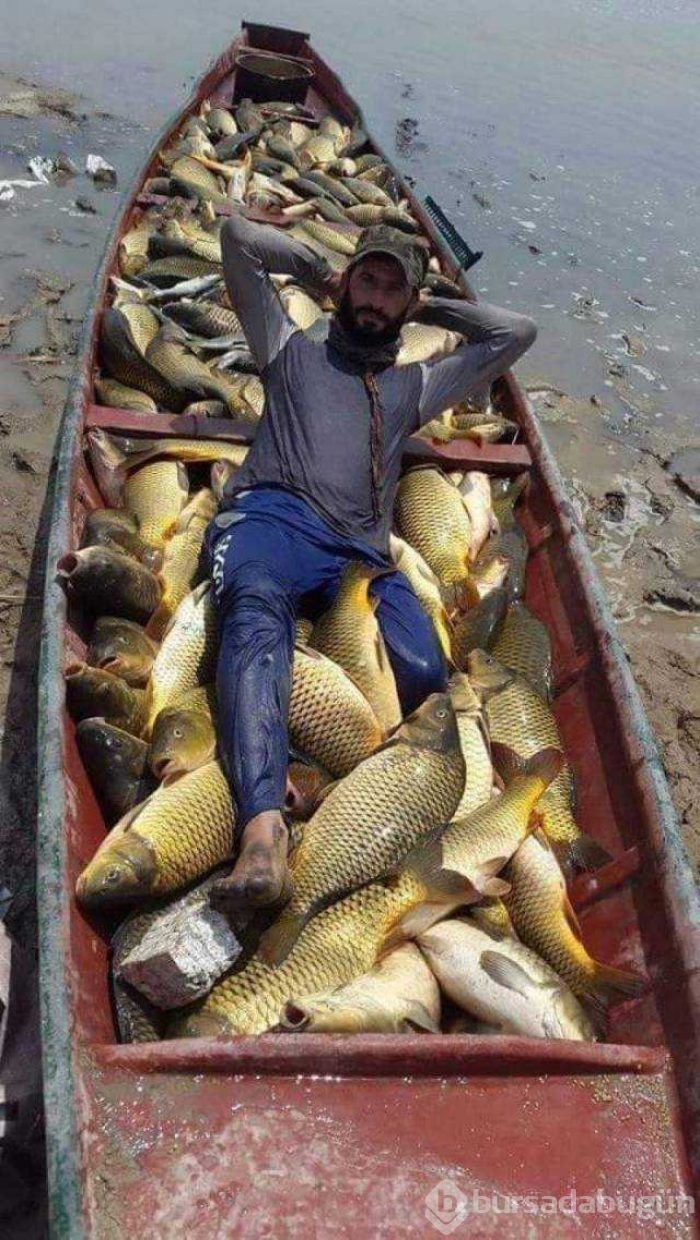 Günün en çok paylaşılan fotoğrafları