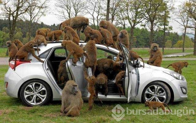 Günün en çok paylaşılan fotoğrafları