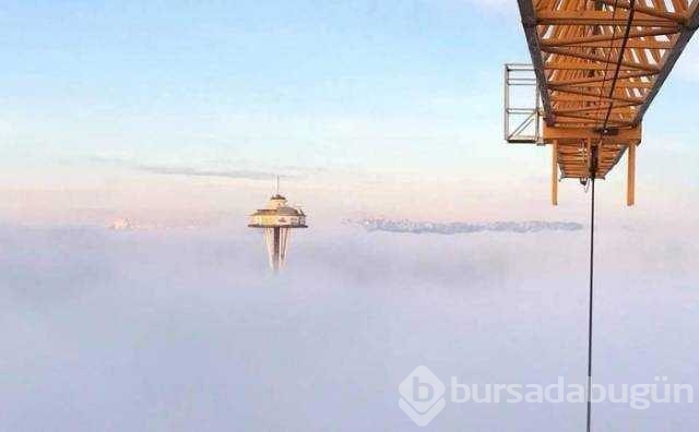Günün en çok paylaşılan fotoğrafları