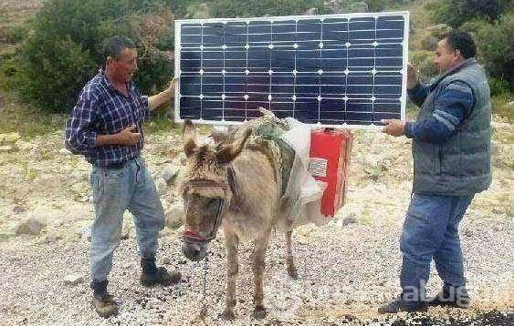 Yurdum insanının pratik zekası