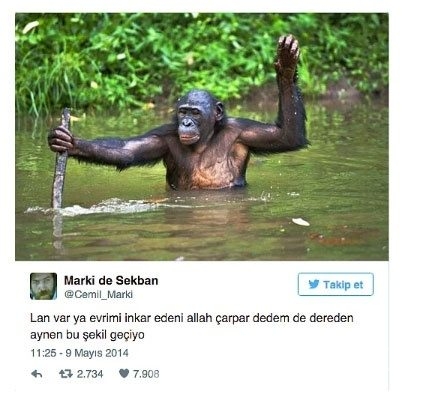 Komik tweetler
