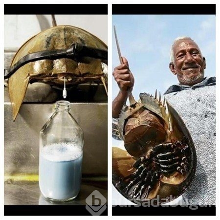 Bu çalışanların işi çok zor