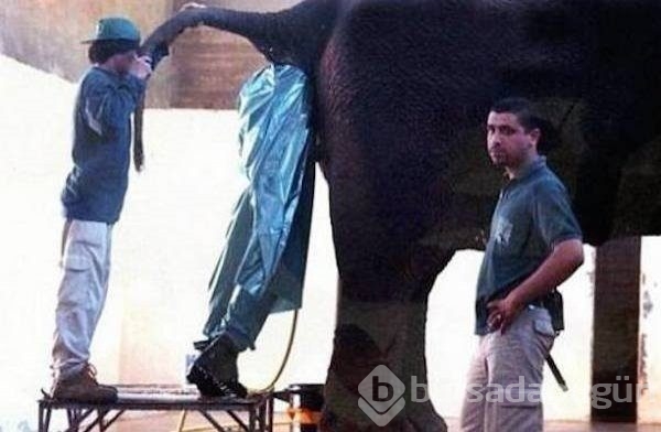 Bu çalışanların işi çok zor