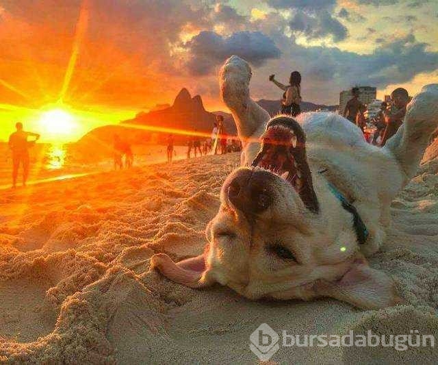 Günün en çok paylaşılan fotoğrafları
