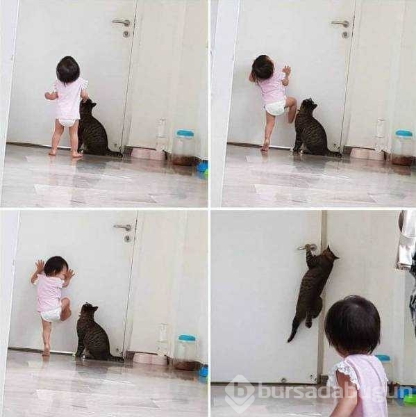 Günün en çok paylaşılan fotoğrafları
