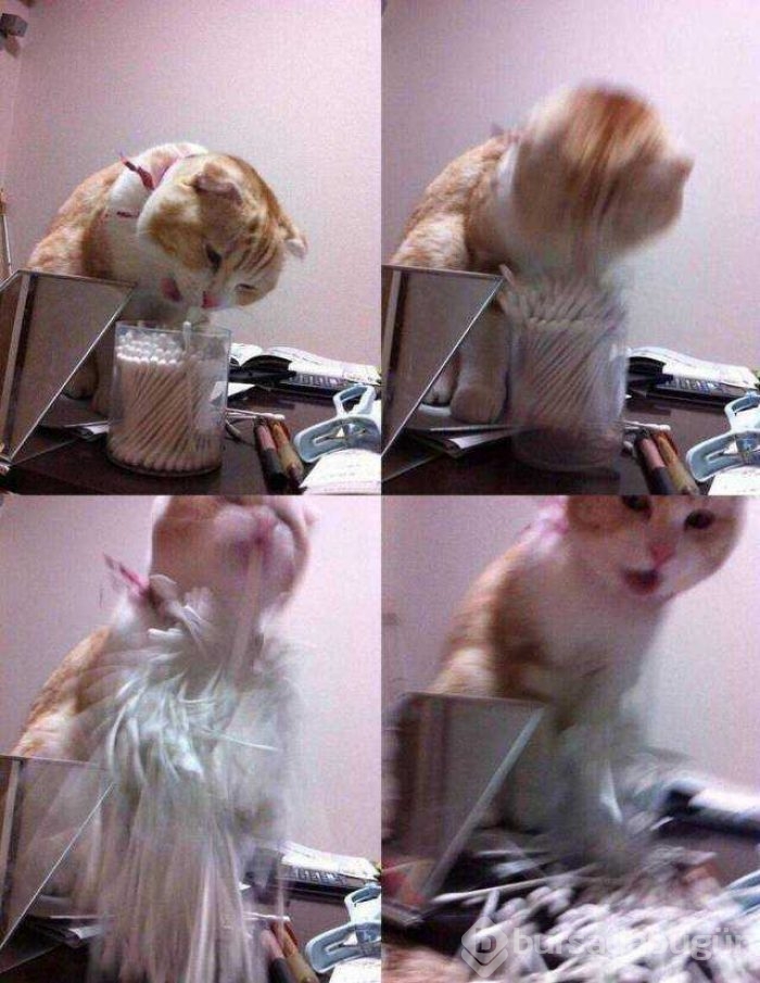 Günün en çok paylaşılan fotoğrafları

