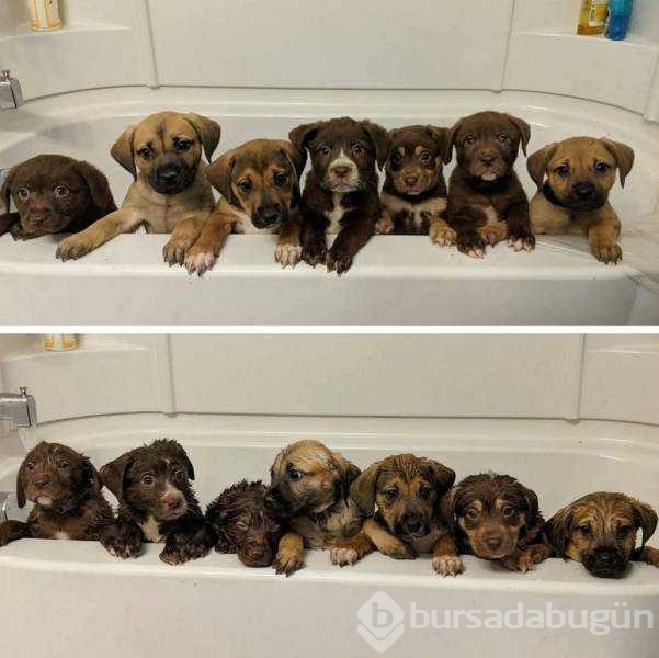 Günün en çok paylaşılan fotoğrafları
