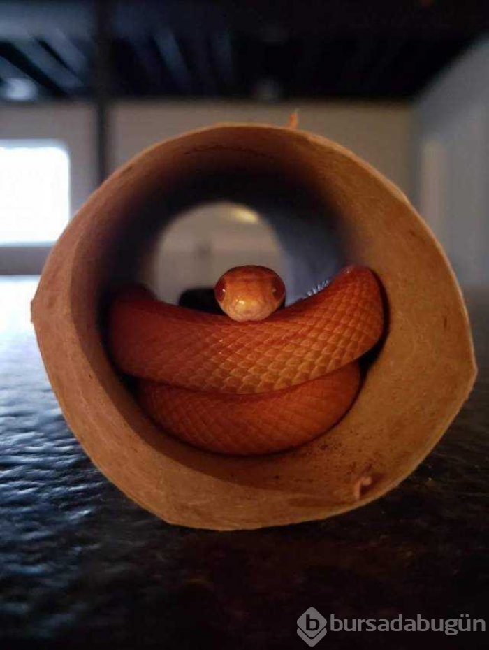 Günün en çok paylaşılan fotoğrafları
