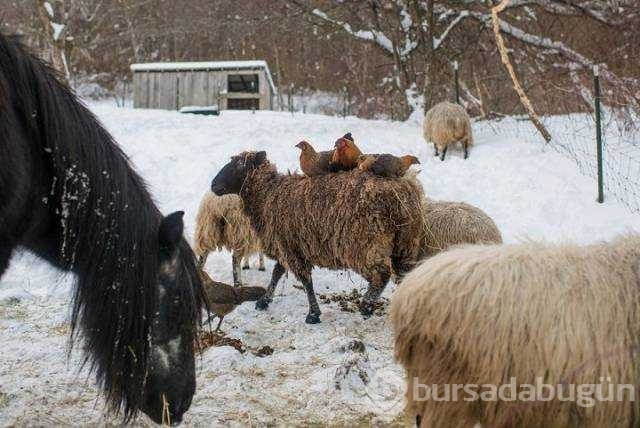 Günün en çok paylaşılan fotoğrafları
