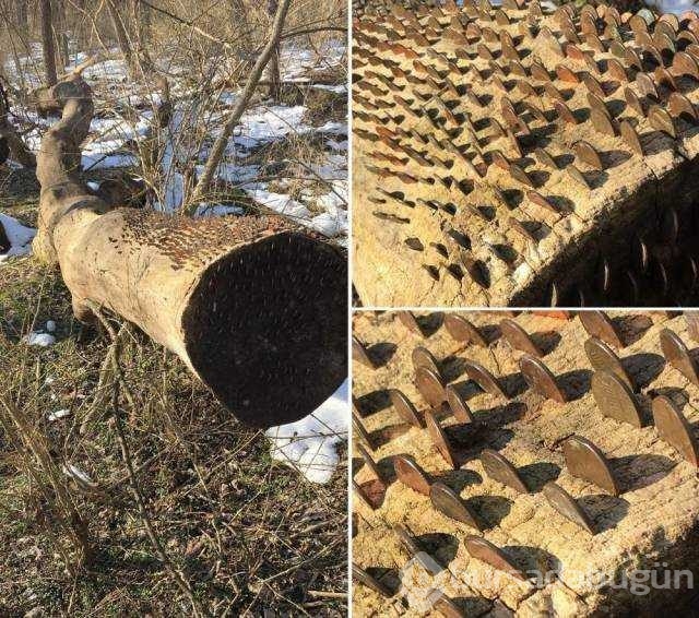 Günün en çok paylaşılan fotoğrafları
