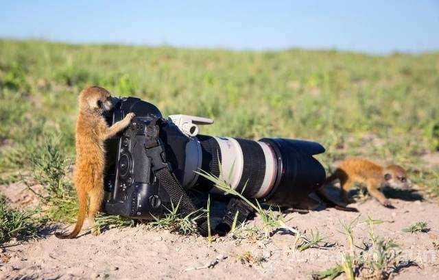 Günün en çok paylaşılan fotoğrafları
