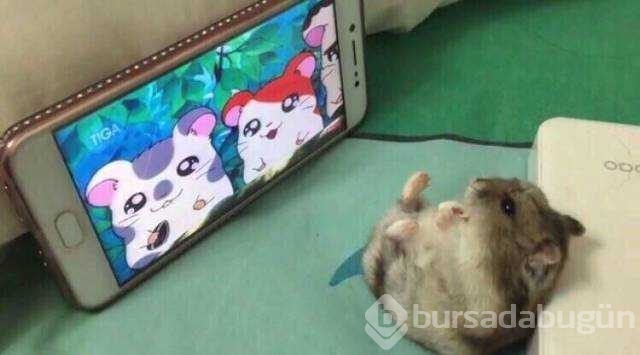 Günün en çok paylaşılan fotoğrafları
