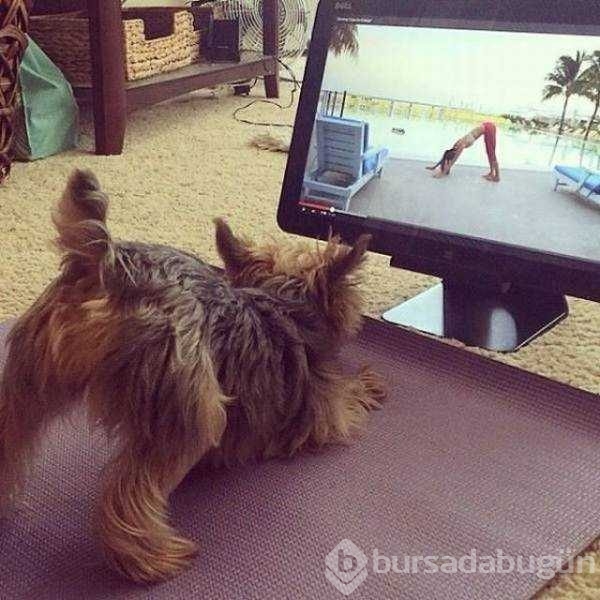 Günün en çok paylaşılan fotoğrafları
