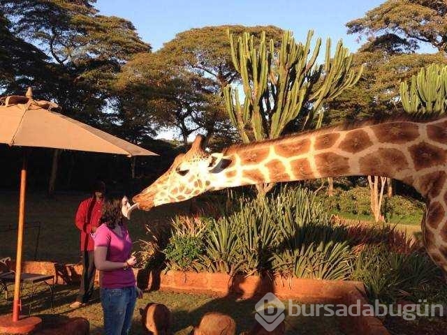 Günün en çok paylaşılan fotoğrafları
