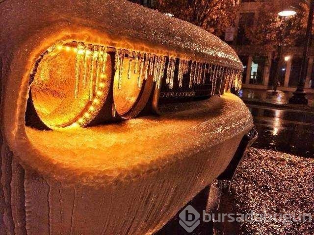 Günün en çok paylaşılan fotoğrafları
