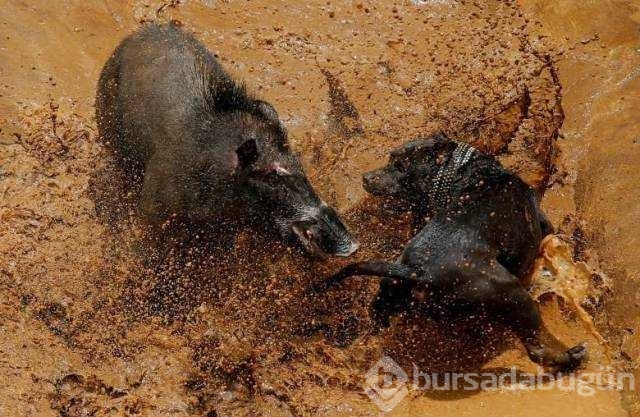 Günün en çok paylaşılan fotoğrafları
