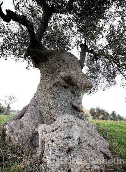 Günün en çok paylaşılan fotoğrafları
