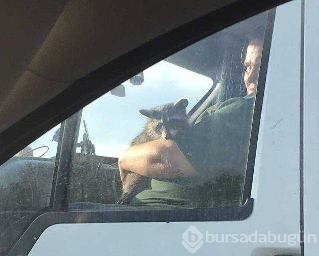 Günün en çok paylaşılan fotoğrafları
