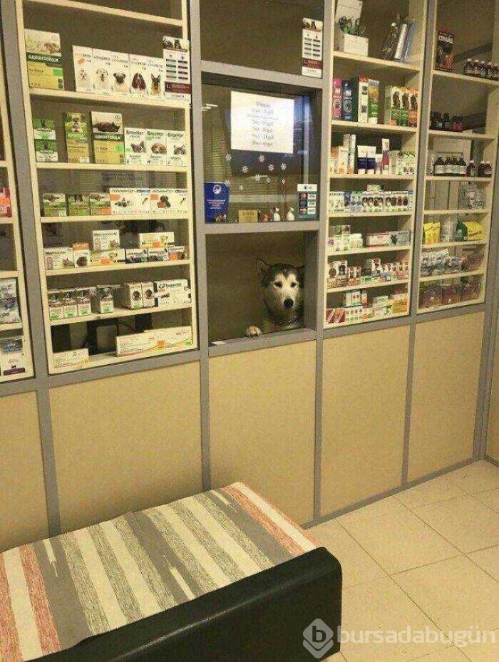 Günün en çok paylaşılan fotoğrafları
