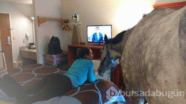 Günün en çok paylaşılan fotoğrafları

