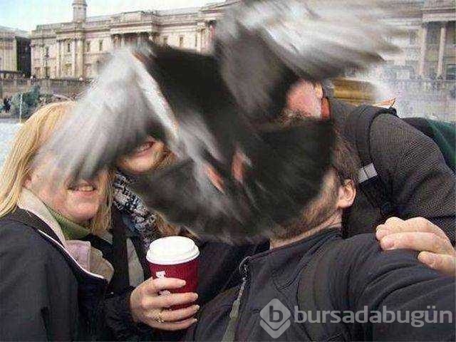 Günün en çok paylaşılan fotoğrafları

