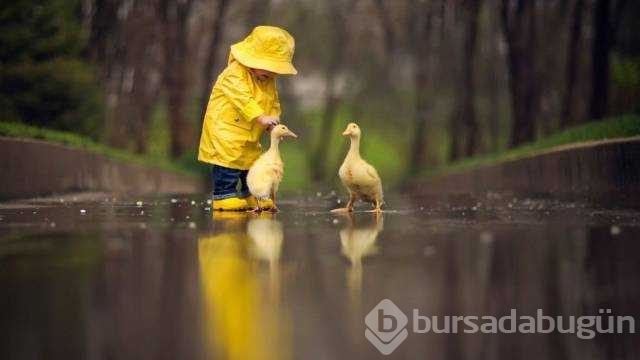 Günün en çok paylaşılan fotoğrafları
