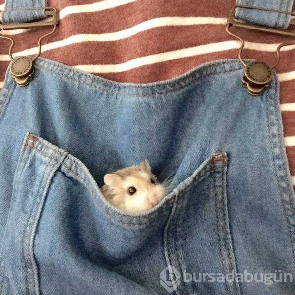 Günün en çok paylaşılan fotoğrafları
