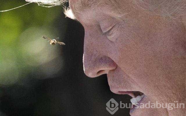 Günün en çok paylaşılan fotoğrafları

