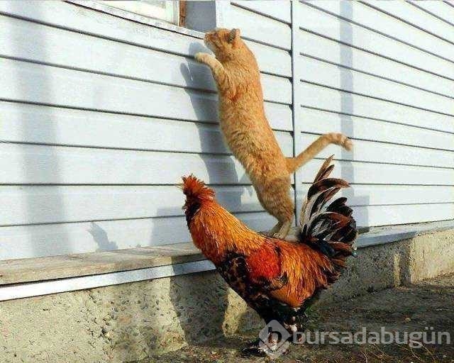 Günün en çok paylaşılan fotoğrafları
