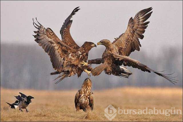 Günün en çok paylaşılan fotoğrafları
