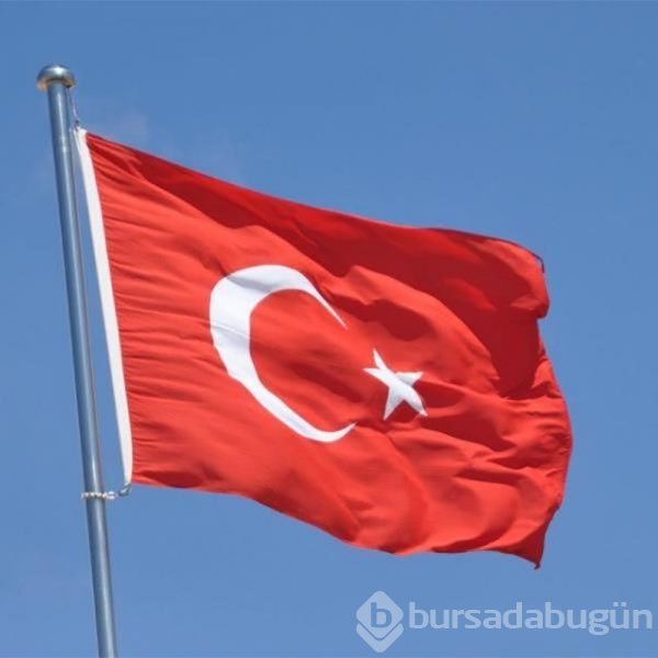 Ülkelerin donanma güçleri
