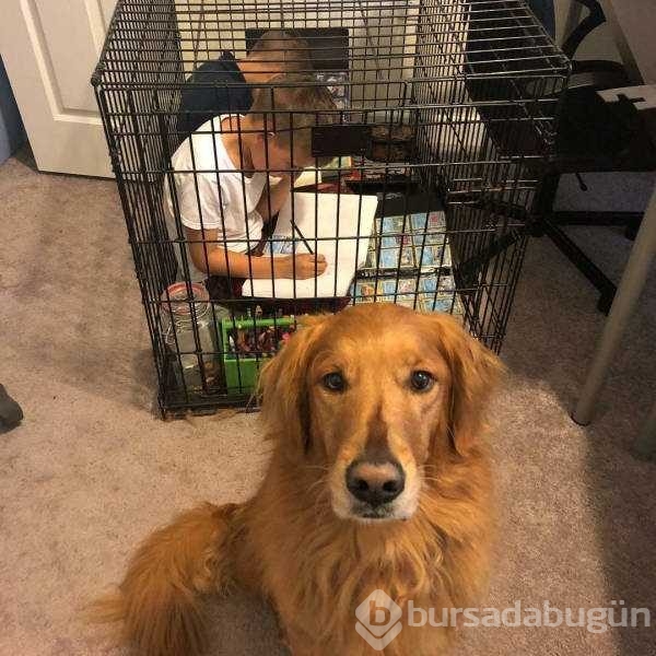 Günün en çok paylaşılan fotoğrafları