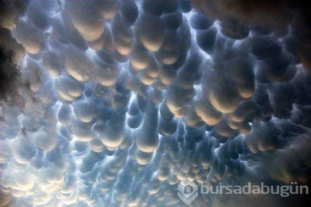 Günün en çok paylaşılan fotoğrafları