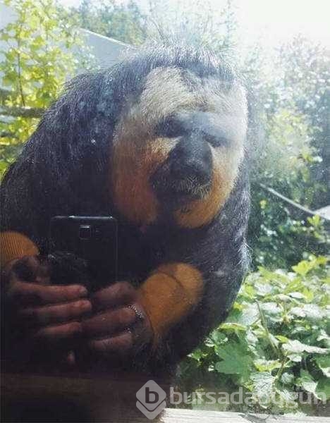 Günün en çok paylaşılan fotoğrafları