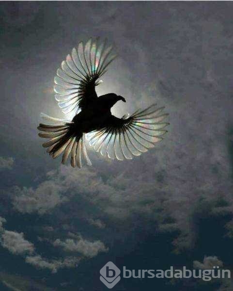 Günün en çok paylaşılan fotoğrafları