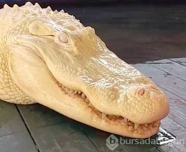 Günün en çok paylaşılan fotoğrafları