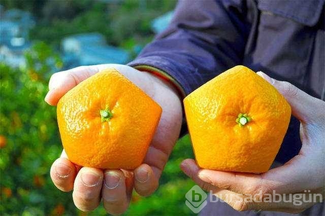 Günün en çok paylaşılan fotoğrafları