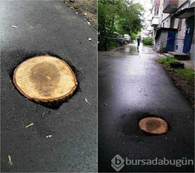 Günün en çok paylaşılan fotoğrafları